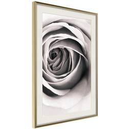 Arkiio Affisch Rose Vortex [Poster] 30x45 Poster